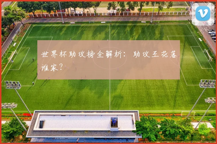 世界杯助攻榜全解析:助攻王花落谁家?